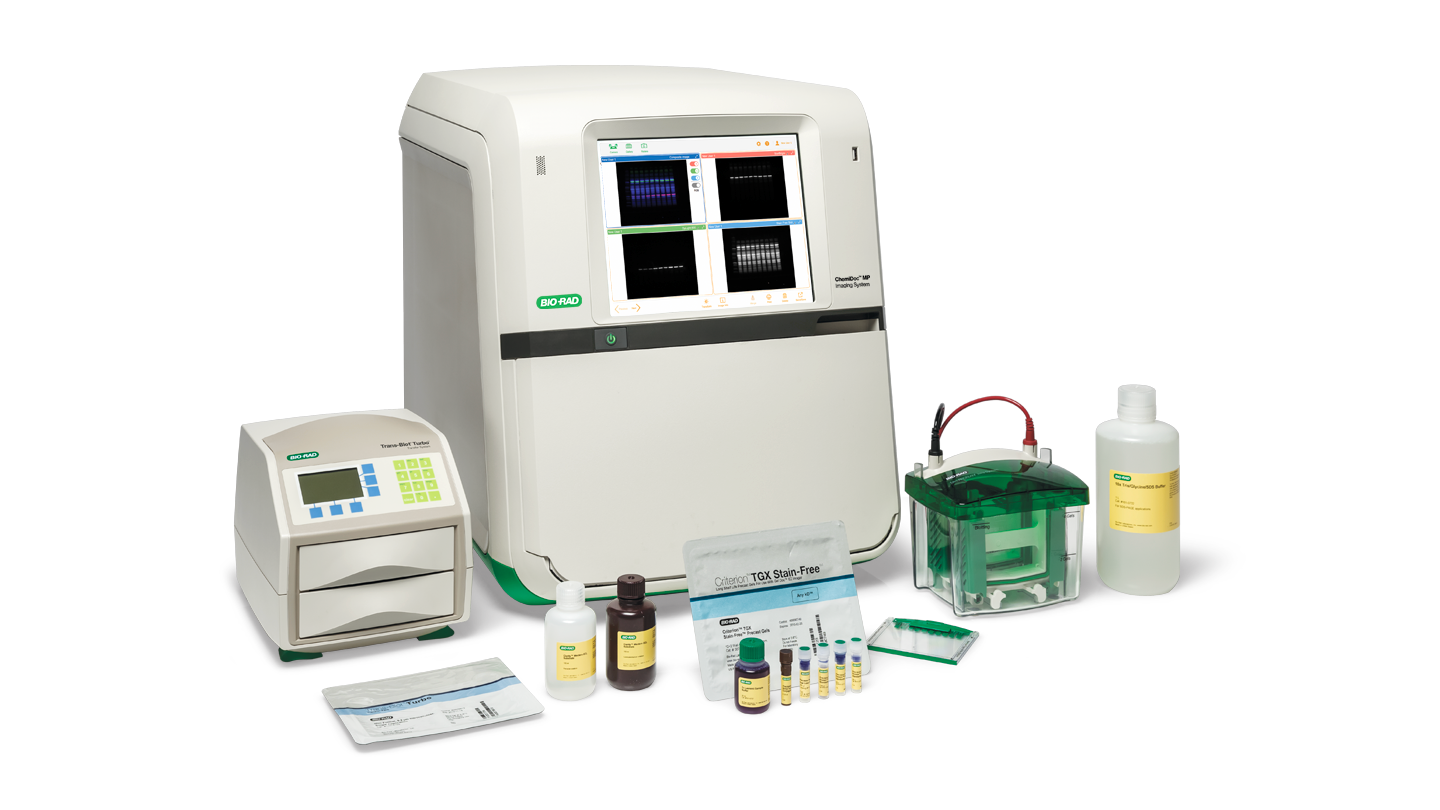 Gel imaging and documentation system + Laptop